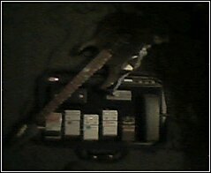 5137506946_235.jpg